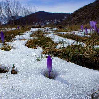 La fonte des neiges. [Depositphotos - Vojce]