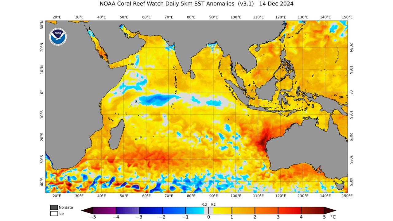 Anomalies de températures observées à la surface de l'océan le 14 décembre 2024. [NOAA]