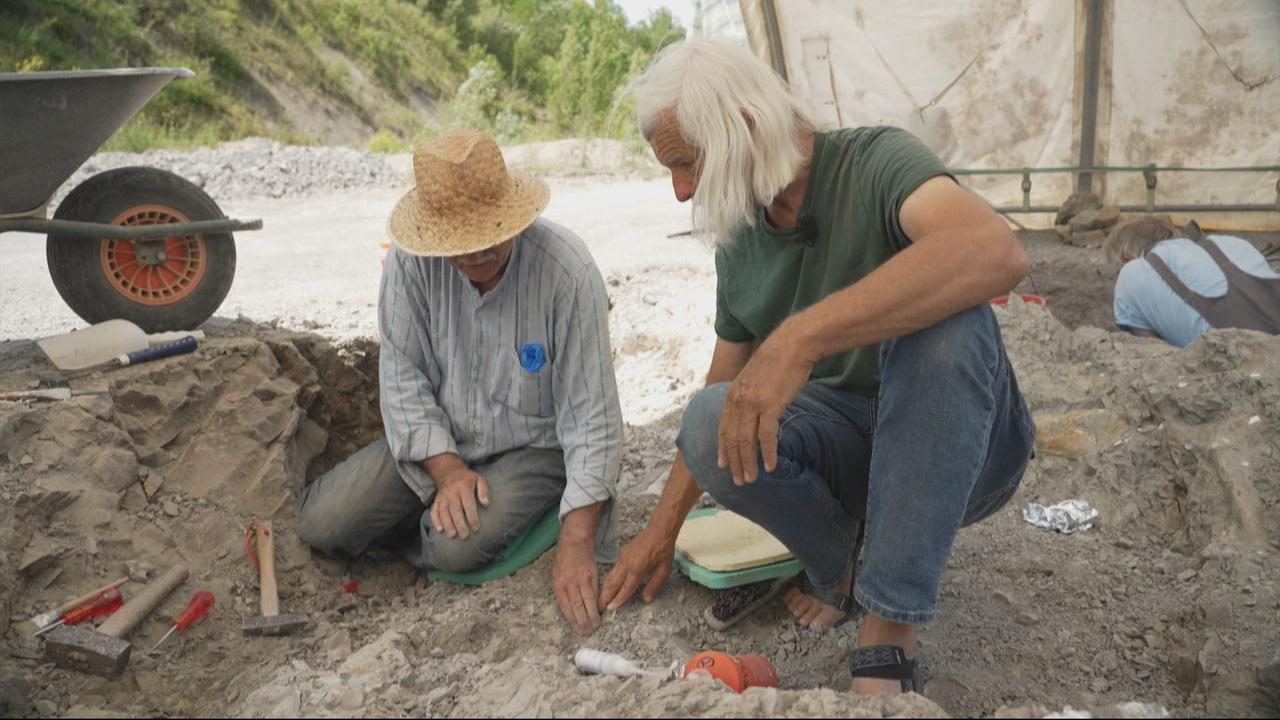 Près du village de Frick en Argovie, Ben Pabst fouille méticuleusement une ancienne carrière d'argile. [RTS]