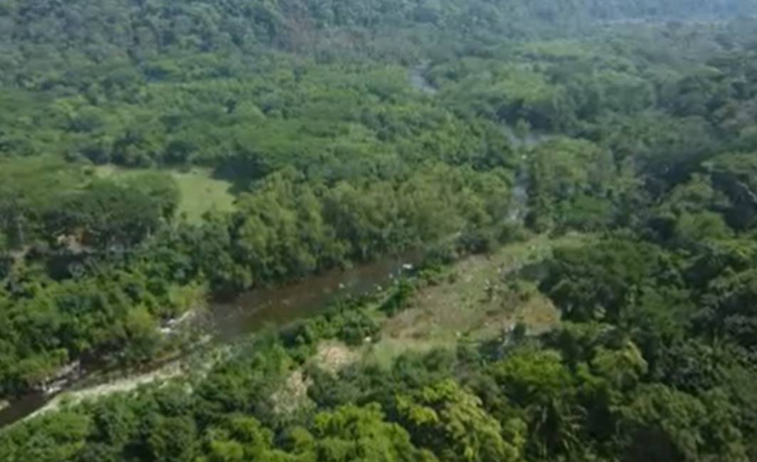 Une vallée fertile traversée par une rivière, sur la "route du café" au Mexique.