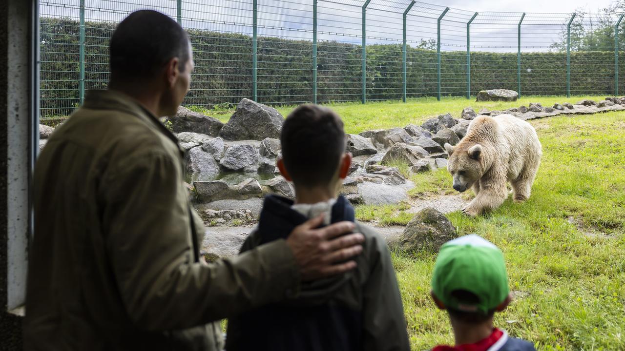 Le zoo de Servion fête ses 50 ans le 15 juin 2024. [Keystone - Cyril Zingaro]