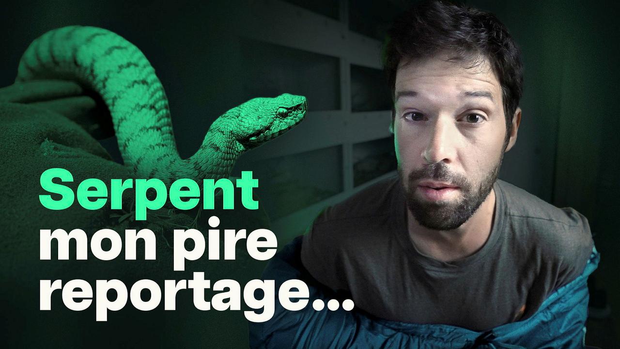 Nos serpents sont-ils si dangereux?