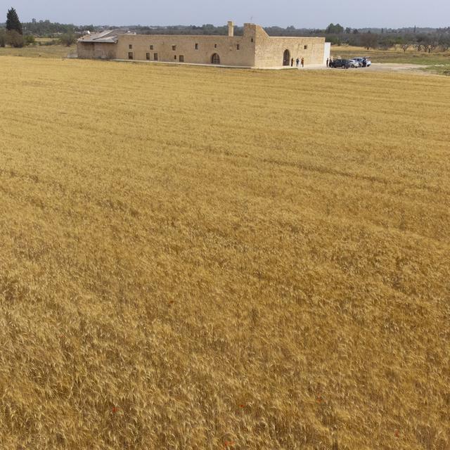 RTSreligion - Les migrants face à la mafia agricole italienne (ep.2) Témoignage d’Yvan Sagnet. [Keystone - AP Photo/Alessandra Tarantino]