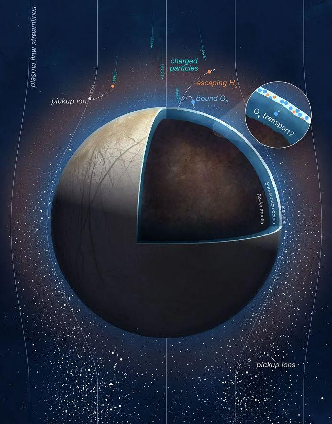 Des particules chargées provenant de Jupiter impactent la surface d'Europe, principalement constituée d'eau et de glace. Elles brisent les liaisons moléculaires de la glace de surface, dissociant ainsi l'eau pour produire des molécules d'oxygène (O2) et d'hydrogène (H2). Cela constitue un mécanisme d'oxygénation potentiel pour l'océan souterrain d'Europe: certains de ces gaz oxygénés nouvellement créés y migrant, comme le montre le médaillon rond. Ces molécules sont considérées comme les principaux constituants de l'atmosphère d'Europe. "Ce processus s'avère être le mécanisme d'érosion de surface exogène dominant d'Europe par rapport au bombardement de météorites", note l'équipe de recherche dans son étude. [NASA/JPL-Caltech - SWRI/PU]