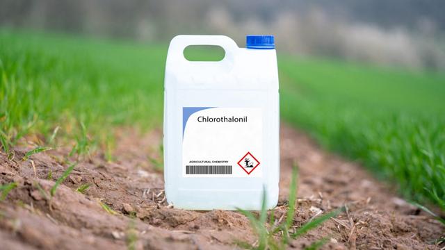 Syngenta débouté par le TAF dans son différend avec la Confédération sur le chlorothalonil. [SCIENCE PHOTO LIBRARY VIA AFP - WLADIMIR BULGAR]