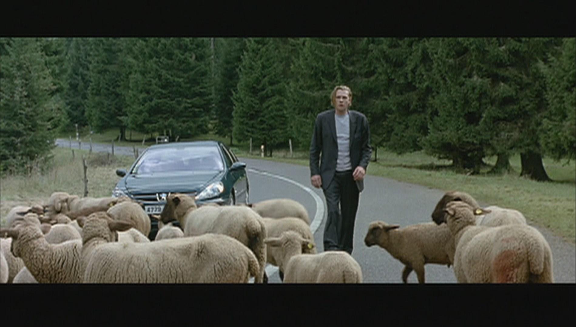 Les moutons et les sapins arbitrent le conflit familial entre Guillaume et Gérard Depardieu dans "Aime ton père".