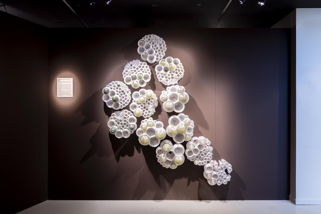 EcoLogicStudio, de Claudia Pasquero & Marco Poletto, bi.O.serie, 2020, à l'exposition « INVISIBLES. La vie cachée des microbes » (2024) [Musée de la main UNIL-CHUV]