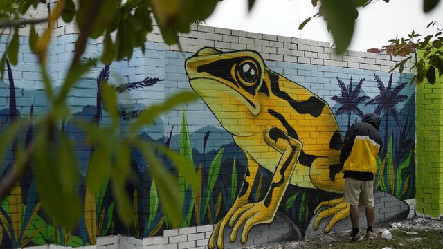 Un artiste termine une fresque en vue de la COP16 à Cali, en Colombie. [KEYSTONE - FERNANDO VERGARA]