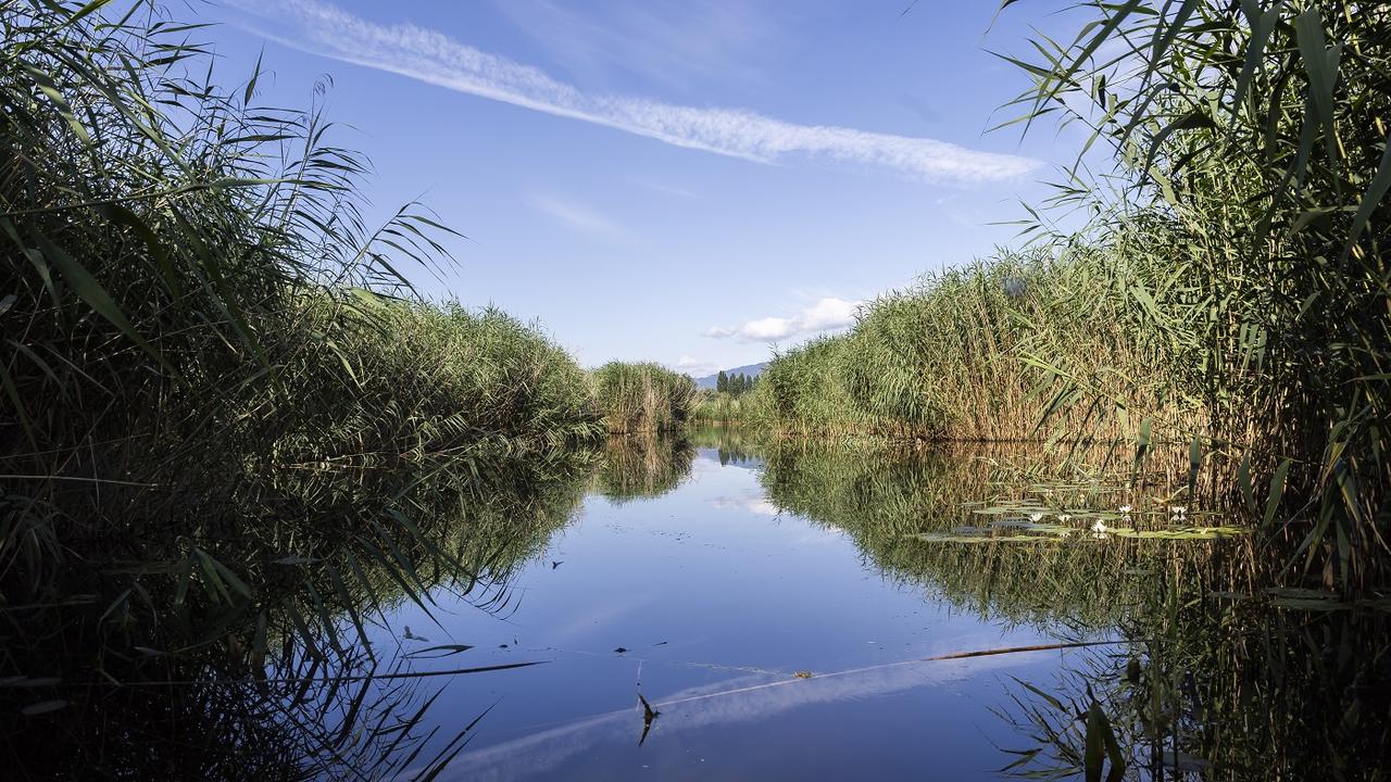 La réserve naturelle de la Grande Cariçaie au bord du lac de Neuchâtel. [Keystone - Cyril Zingaro]