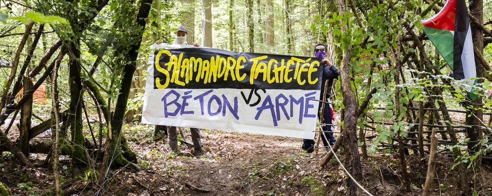 Le Bois de Ballens (VD) est occupé par des activistes contre l'ouverture de nouvelles carrières. [Keystone - Cyril Zingaro]