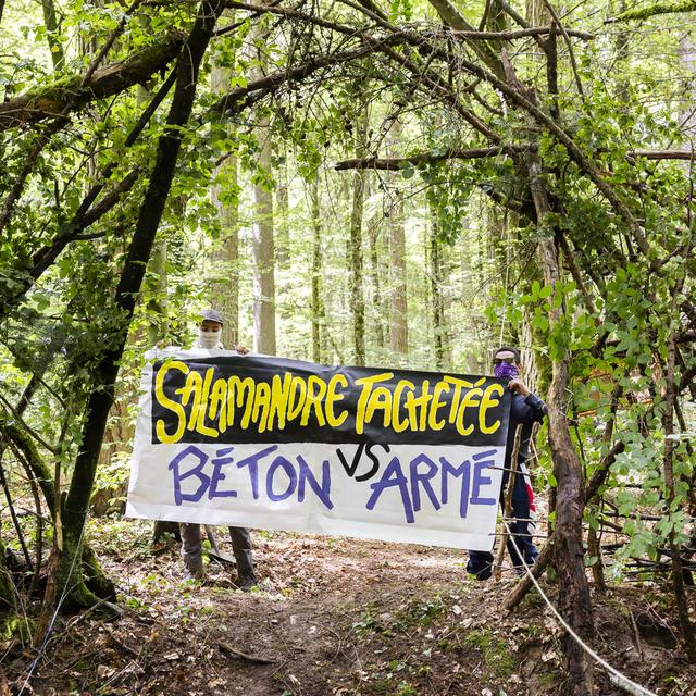 Le Bois de Ballens (VD) est occupé par des activistes contre l'ouverture de nouvelles carrières. [Keystone - Cyril Zingaro]