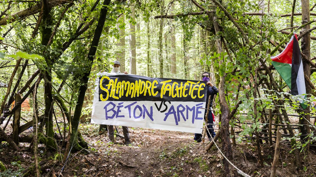 Le Bois de Ballens (VD) est occupé par des activistes contre l'ouverture de nouvelles carrières. [Keystone - Cyril Zingaro]