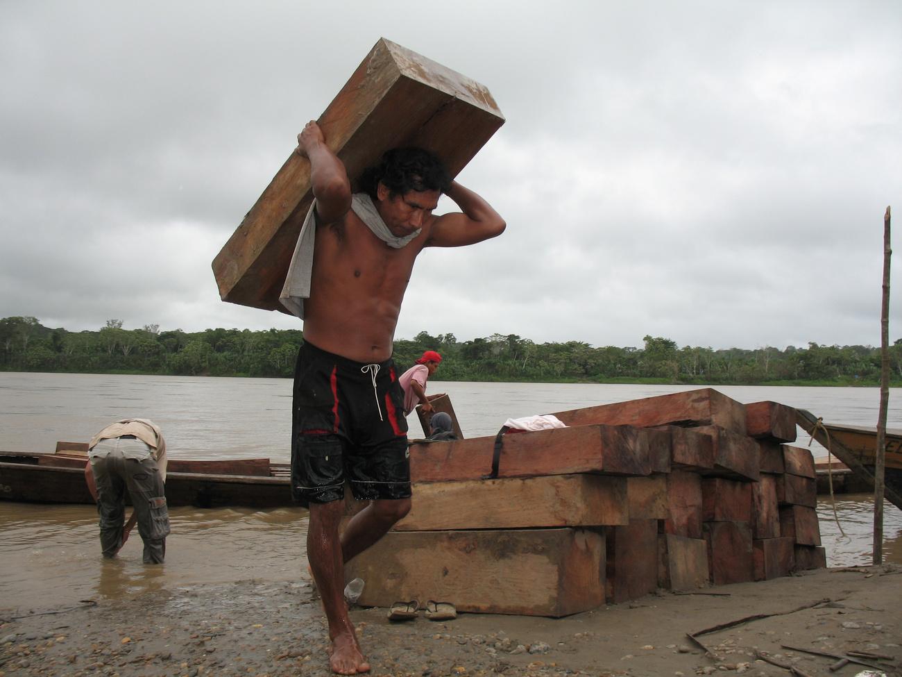 Des hommes chargent un bateau avec du bois illégalement abattu, de l'espèce shihuahuaco, le long de la rive de la rivière Madre de Dios, au Pérou. [KEYSTONE - NILS HERMANN RANUM]
