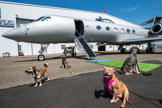 Les petits avions de BARK Air ne transportent pas plus d'une quinzaine de passagers. [Reuters - Eduardo Munoz]