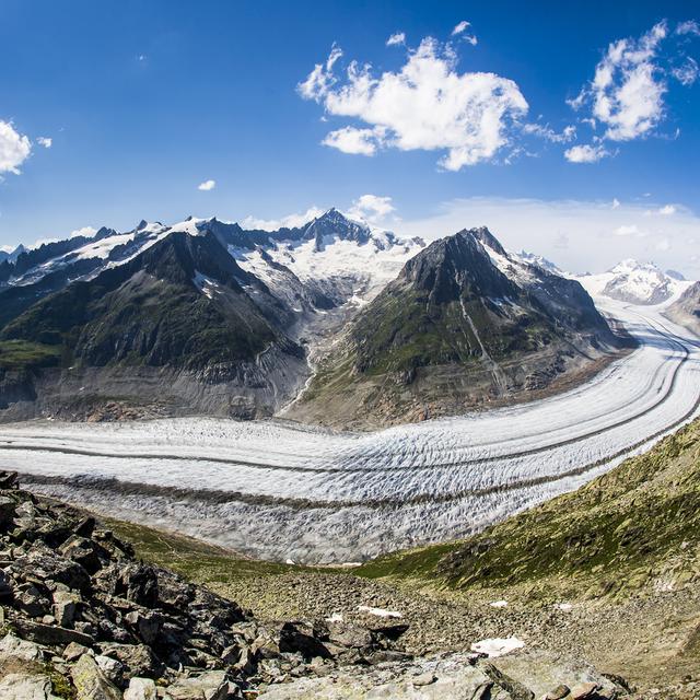 Une vue du glacier d'Aletsch depuis le point de vue de l'Eggishorn, le dimanche 15 août 2021. [Keystone - Jean-Christophe Bott]