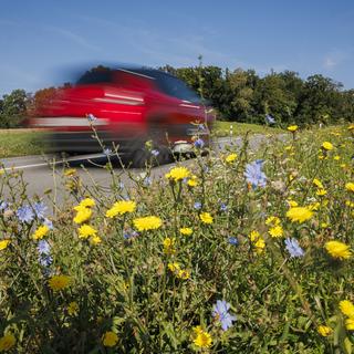 Le renforcement de la biodiversité n'a pas convaincu la population votante en Suisse. [Keystone - Valentin Flauraud]