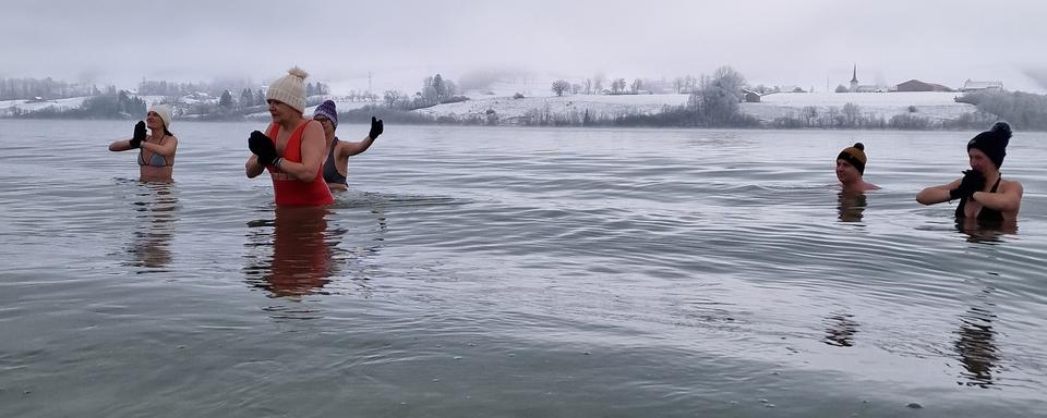 Des novices lors d'une initiation à la baignade en eau froide dans le lac de la Gruyère. [RTS - Stéphane Renevey]