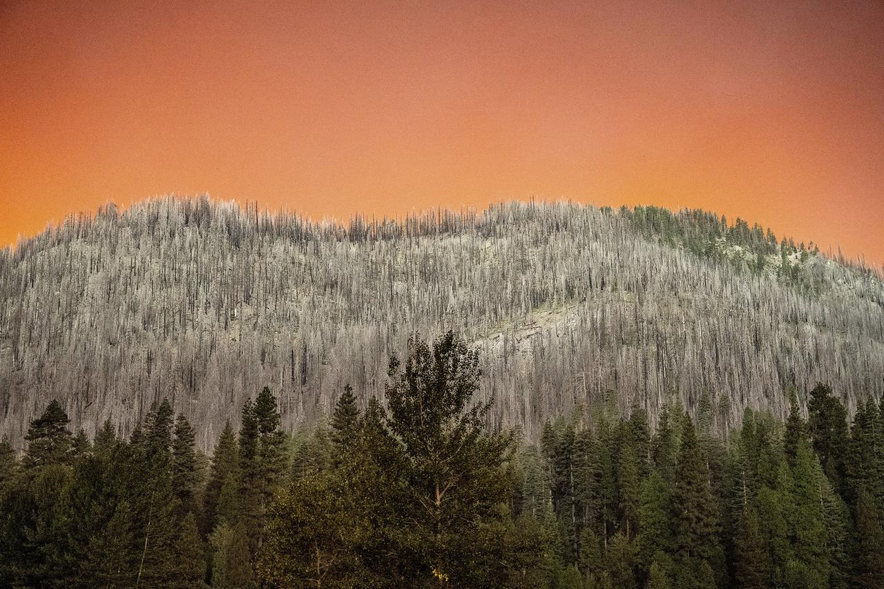 La fumée du Park Fire projette une lueur orange au-dessus d'une colline brûlée lors d'un précédent incendie de forêt dans le comté de Tehama, en Californie, le vendredi 26 juillet 2024. [KEYSTONE - NOAH BERGER]