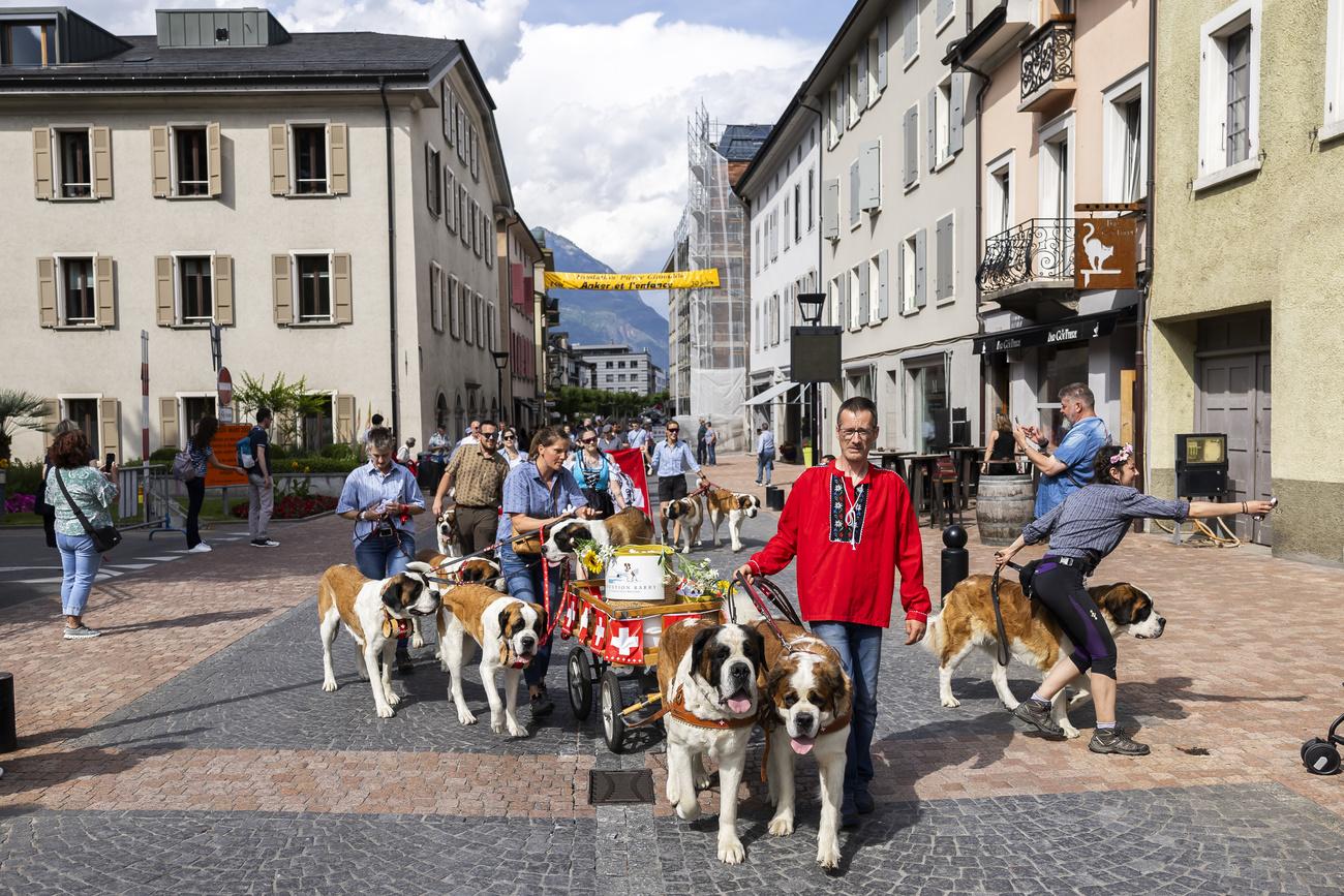 Les badauds ont pu découvrir un cortège d'une centaine de chiens Saint-Bernard vendredi en fin d'après-midi à Martigny. [Keystone - Cyril Zingaro]