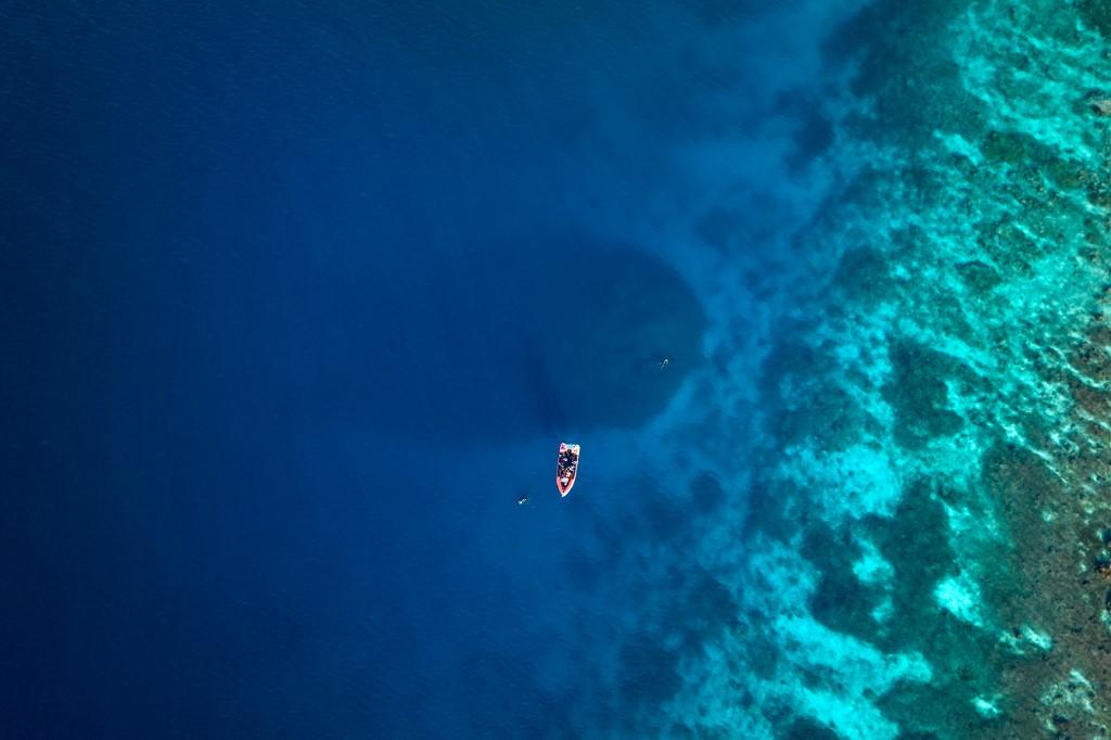 Vue d'en haut, cette colonie coralienne ressemblait à un rocher géant, voire une épave. Elle est visible juste derrière le bateau. Ce n'est que lorsque le photographe sous-marin Manu San Félix a plongé sous la surface qu'il s'est rendu compte qu'il s'agissait d'un corail si immense qu'il était difficile de le mesurer. [AFP - MANU SAN FELIX]