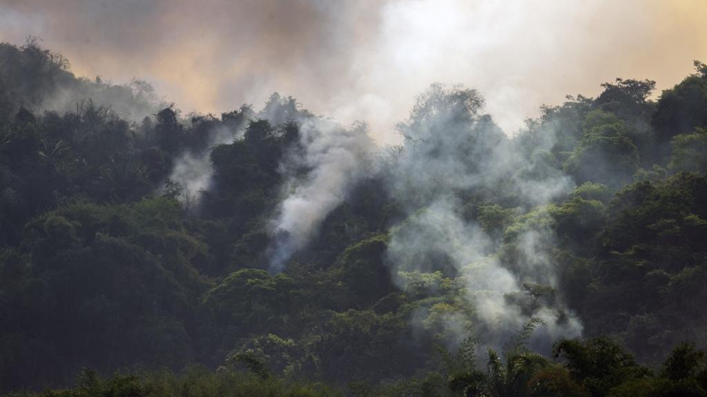 Le Brésil n'en finit plus de lutter contre les incendies. [AFP]