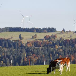 Peuchapatte, une petite localité nichée dans les Franches-Montagnes, au cœur du Jura. [Keystone - Peter Klaunzer]