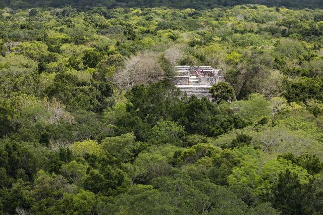 Réserve de biosphère de Calakmul, ancienne cité maya inscrite au patrimoine mondial de l'UNESCO, pyramide (structure I) émergeant de la forêt tropicale. [Hemis via AFP - CEGALERBA-SZWEMBERG / HEMIS.FR]