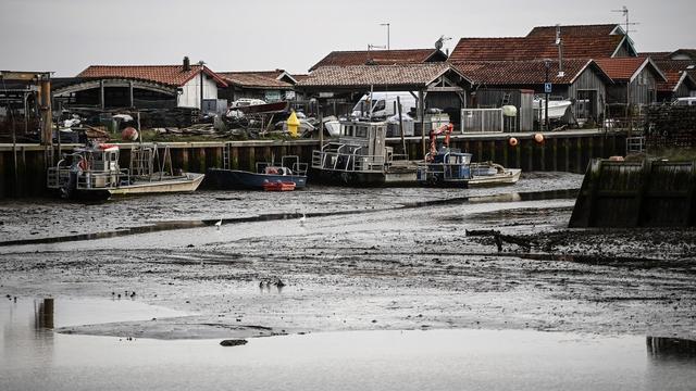 Les pêcheurs du golfe de Gascogne à l'arrêt forcé pour protéger les dauphins. [afp - Christophe Archambault]