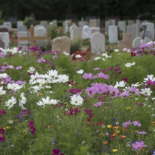 Un bistrot va ouvrir dans un ancien crématoire du cimetière de Berne (photo d'illustration). [KEYSTONE - Georgios Kefalas]