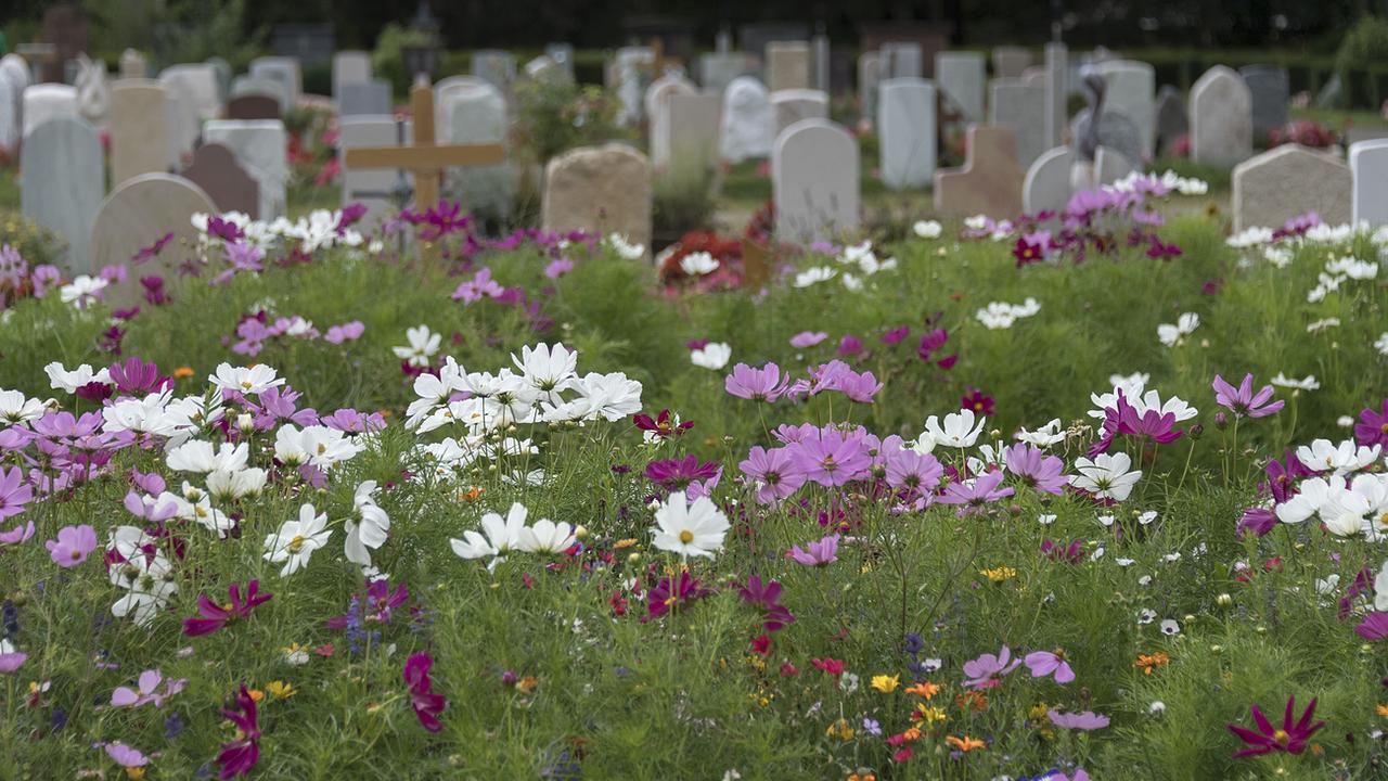 Un bistrot va ouvrir dans un ancien crématoire du cimetière de Berne (photo d'illustration). [KEYSTONE - Georgios Kefalas]