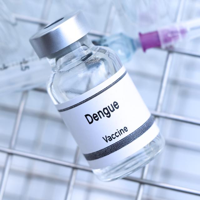 Un nouveau vaccin contre la dengue testé en phase 1 avec succès. [Depositphotos - M150photo]