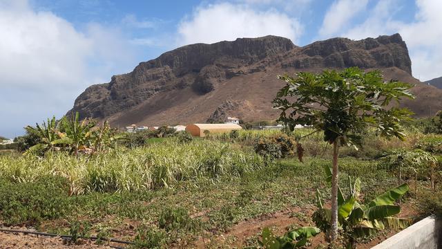 Cap-Vert, un système d’irrigation plus fort que la sécheresse à Fajã. [RTS - Quentin Bleuzen]