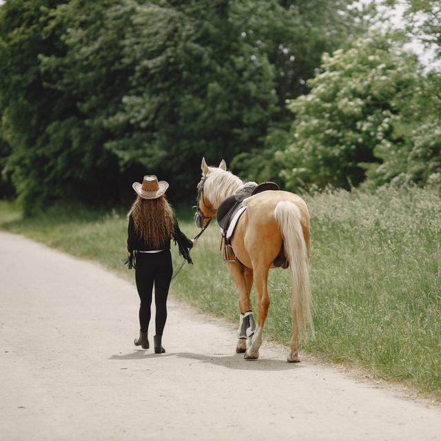 Personne marchant à côté d’un cheval. [Depositphotos - © Hetmanstock]