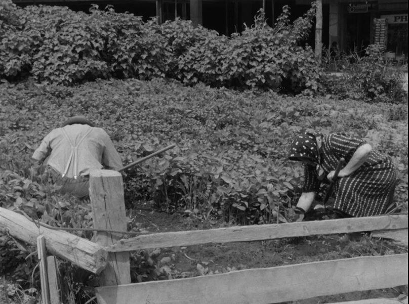 Un coin de terre à cultiver à Nendaz en 1969. [RTS]