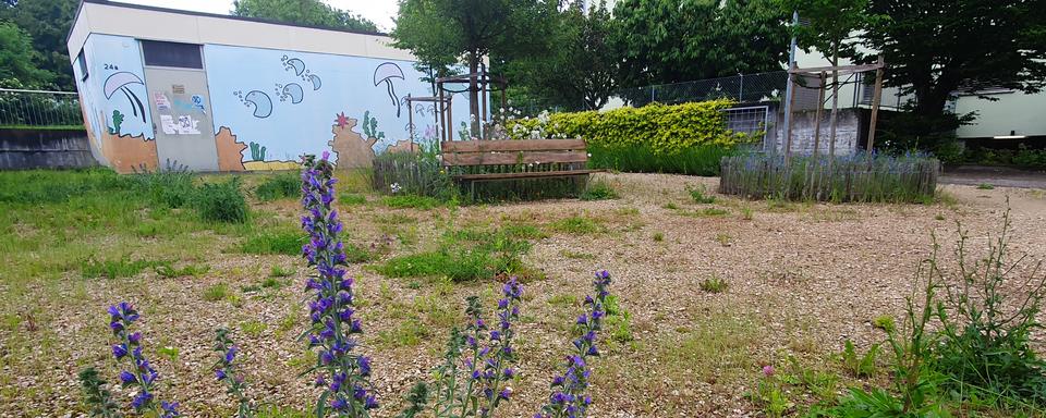 L'ancien parking de la Rue de Büren à Bienne, converti en jardin urbain. [RTS - Xavier Bloch]