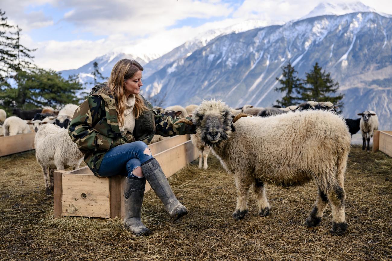 Claire Jeannerat pose avec "Nounours", un mouton Nez Noir. [KEYSTONE - JEAN-CHRISTOPHE BOTT]
