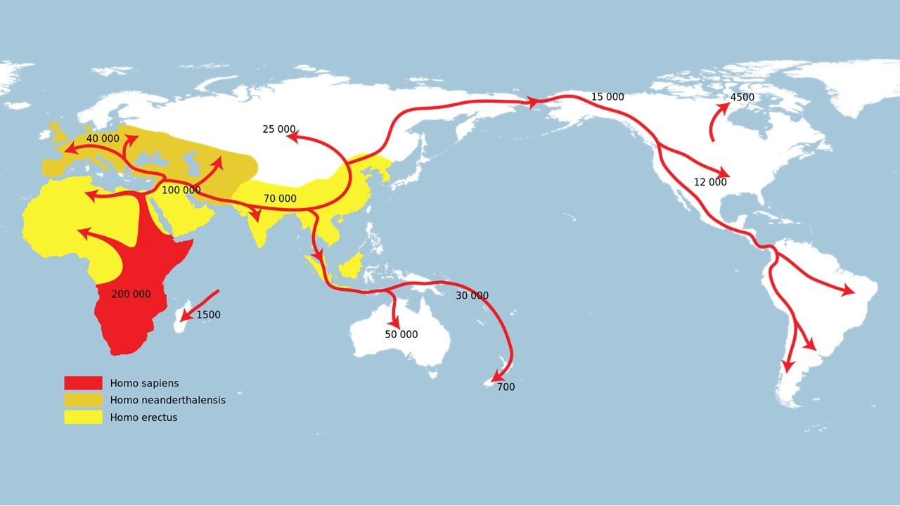 Premières migrations des Hominines hors d'Afrique. En rouge l'Homo sapiens. [Wikipedia]