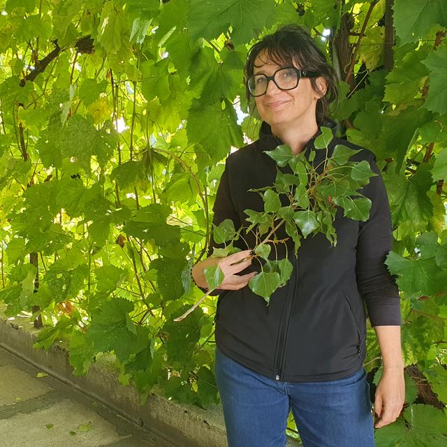 Noémie Graf, vigneronne à Begnins. [RTS - Xavier Bloch]