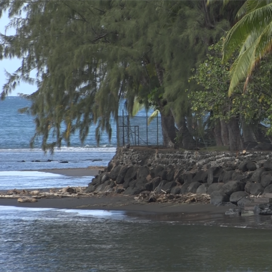 Archipel des Tuamotu: la Polynésie française est touchée de plein fouet par l'érosion, et voit ses côtes reculer peu à peu. Les habitants de ces îles océaniennes le savent: ils seront, sans doute, les premiers réfugiés climatiques français, une perspective à l'horizon 2050. [RTS - Laure Philiber]