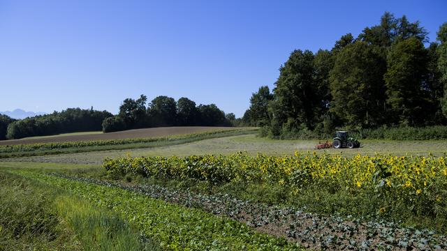 Le canton de Vaud est critiqué pour son supposé ''manque de contrôle'' des subventions agricoles. [Keystone - Jean-Christophe Bott]