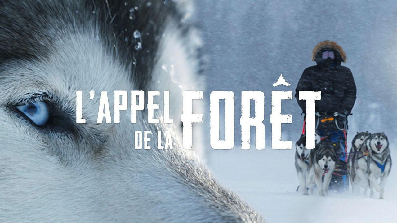 L'appel de la forêt