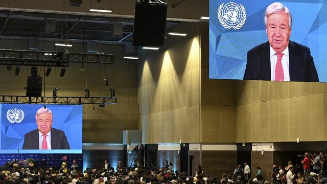 COP16: l'ONU appelle à des "investissements significatifs" pour sauver la biodiversité. [AFP - JOAQUIN SARMIENTO]