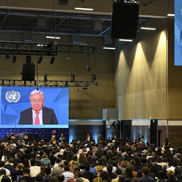 COP16: l'ONU appelle à des "investissements significatifs" pour sauver la biodiversité. [AFP - JOAQUIN SARMIENTO]