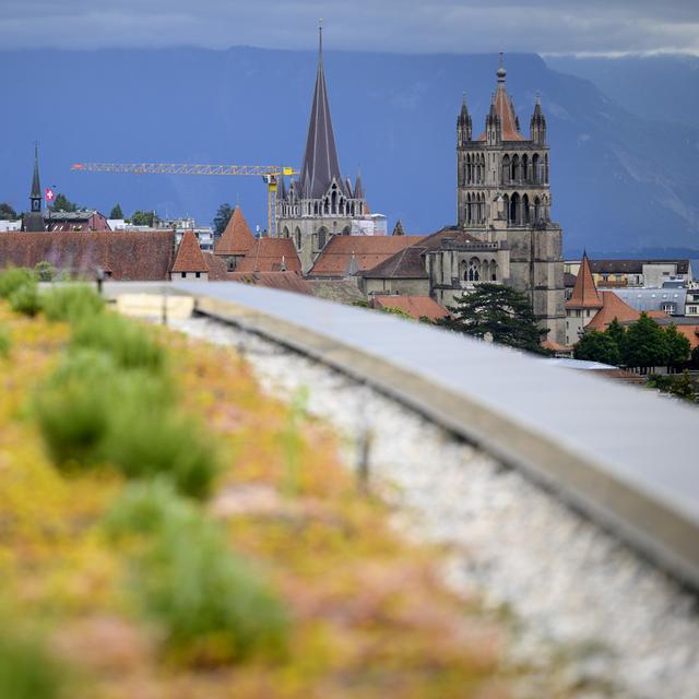 La ville de Lausanne a présenté mardi son plan biodiversité. [Keystone - Laurent Gillieron]