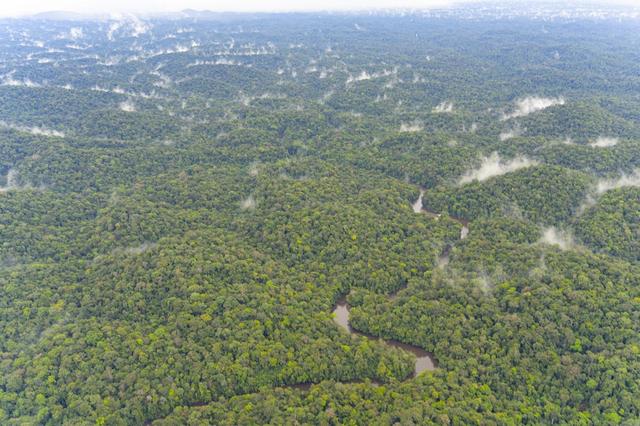 Malgré les problèmes liés à la sécheresse, Benki Piyako reste optimiste et estime qu'il n'est jamais trop tard (ici la forêt amazonienne). [Biosphoto via AFP - Vincent Premel]