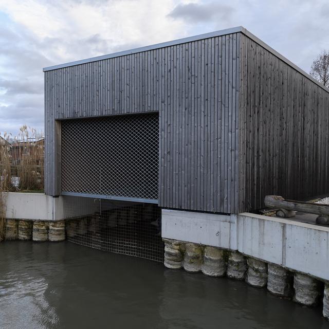La pisciculture d’Estavayer-le-Lac sera remise en route.
