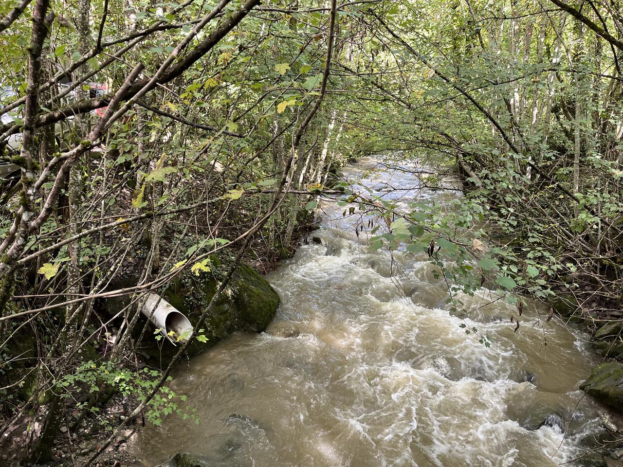 Une image du la rivière du Flon près d'Oron-la-ville. [RTS]