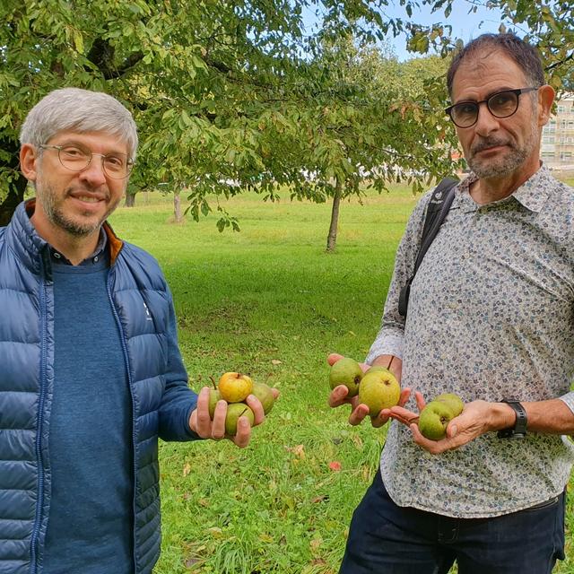 David Bourdin (à gauche) et Michael Rosselet (à droite) veillent sur le verger public de l'Hermitage à Lausanne. [RTS - © Xavier Bloch]