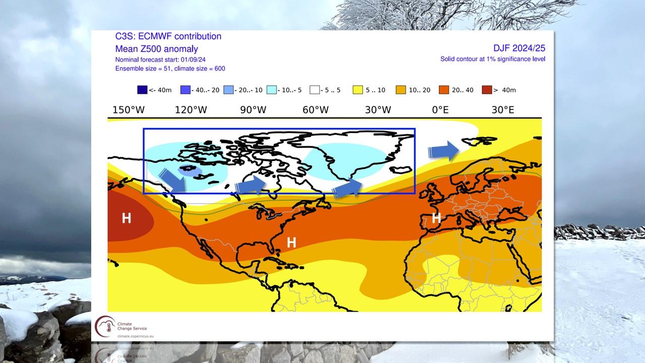 Anomalies de pressions en altitude, prévues par le Centre Européen pour l'hiver 2024-2025. Les flèches en bleu indique l'allure générale des courants. [ECMWF - Valérie Surdez]