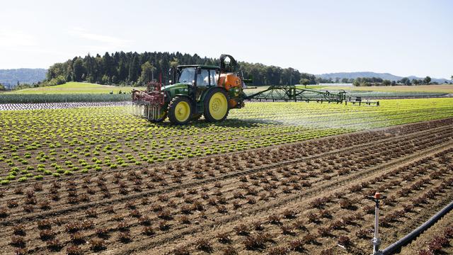 Une pétition demande de prolonger le moratoire sur les cultures d'OGM en Suisse (image d'illustration). [Keystone - Christian Beutler]